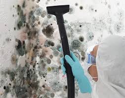 Mold Inspection